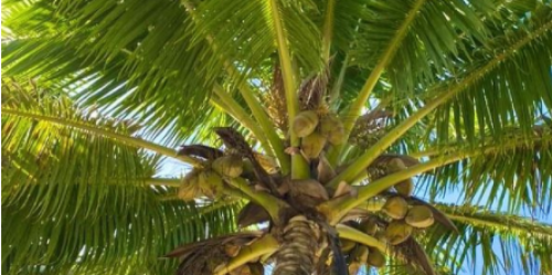 visuel Le Spa sera fermé du 16 au 23 août inclus